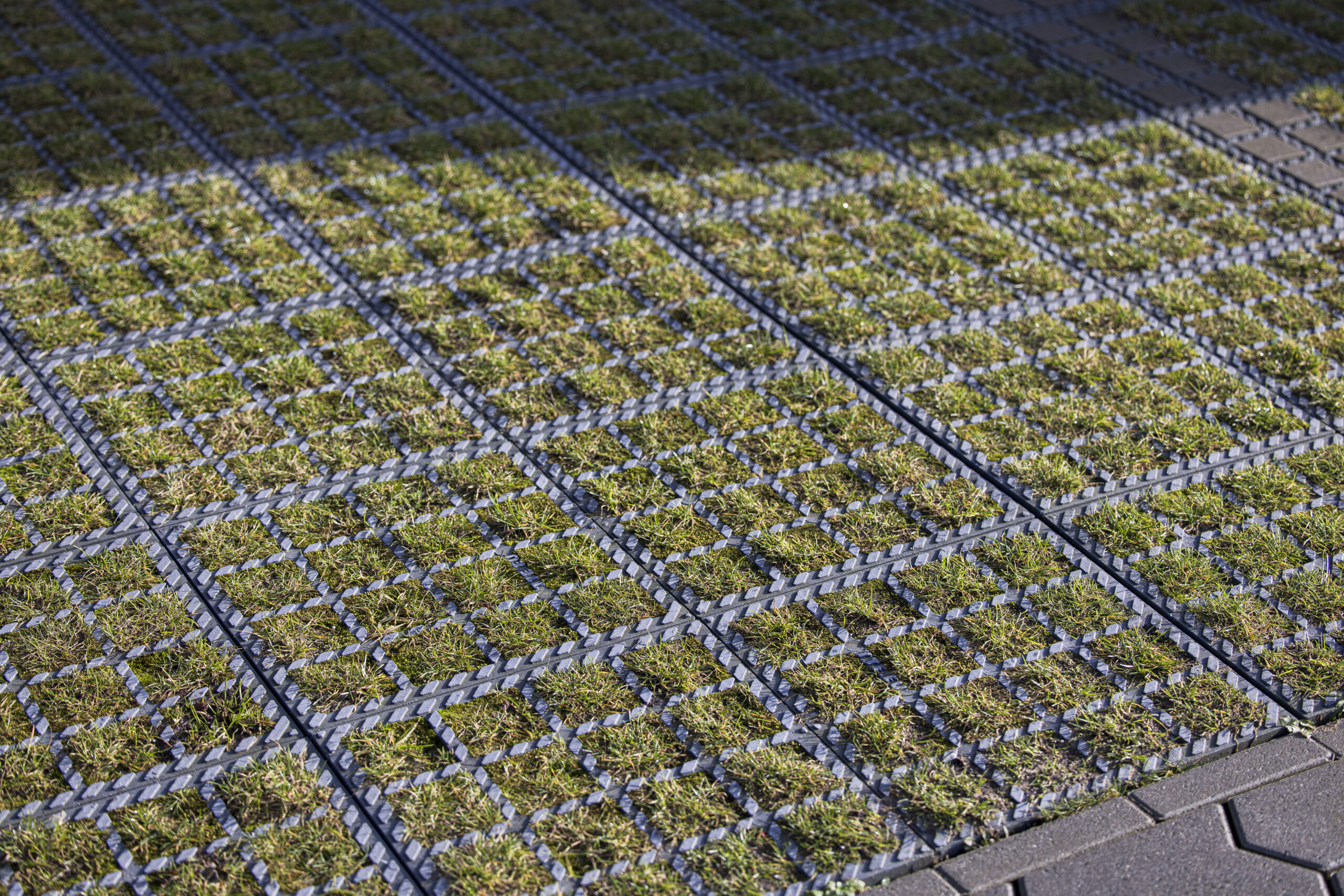 Kevin Loomans EBS_MG_9821 _ NL